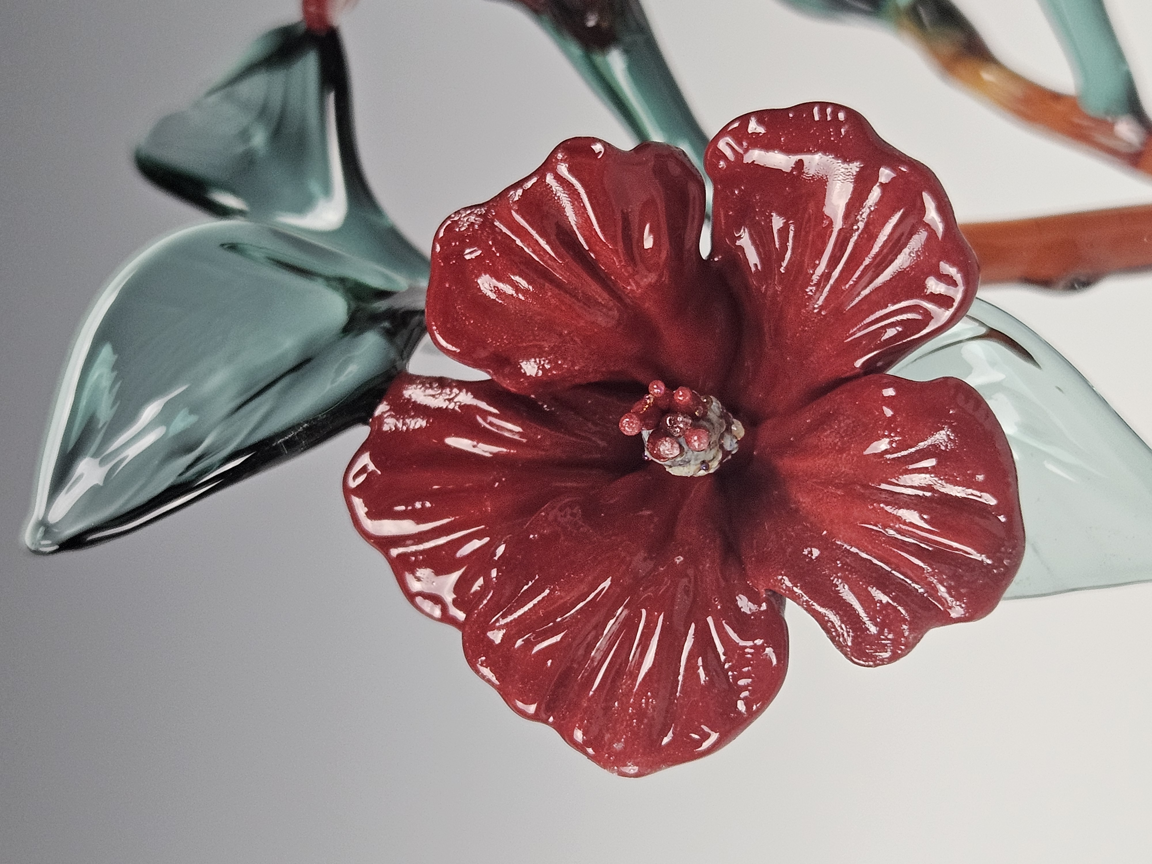 Hibiscus Flower 3