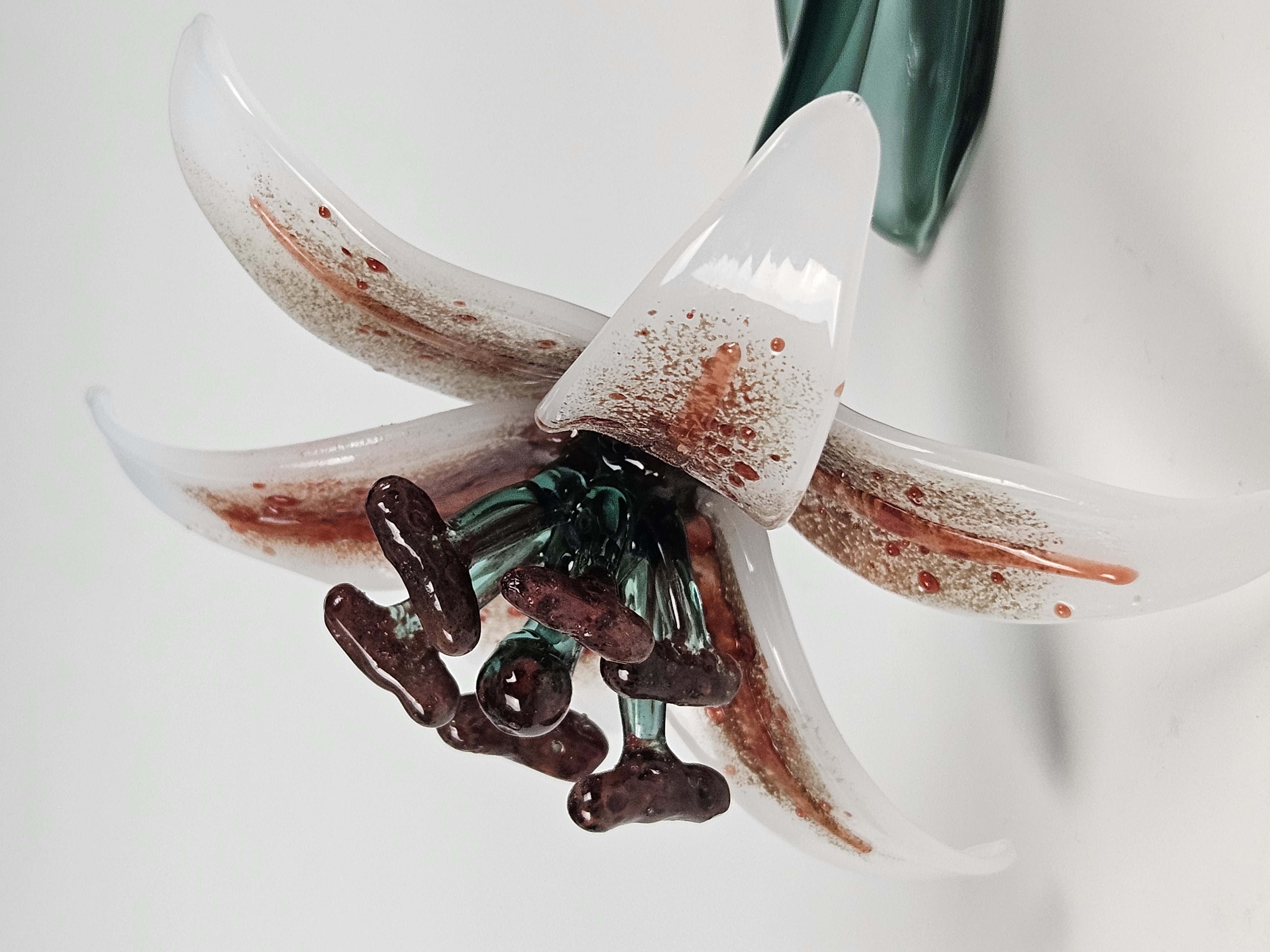 Stargazer Lily 3