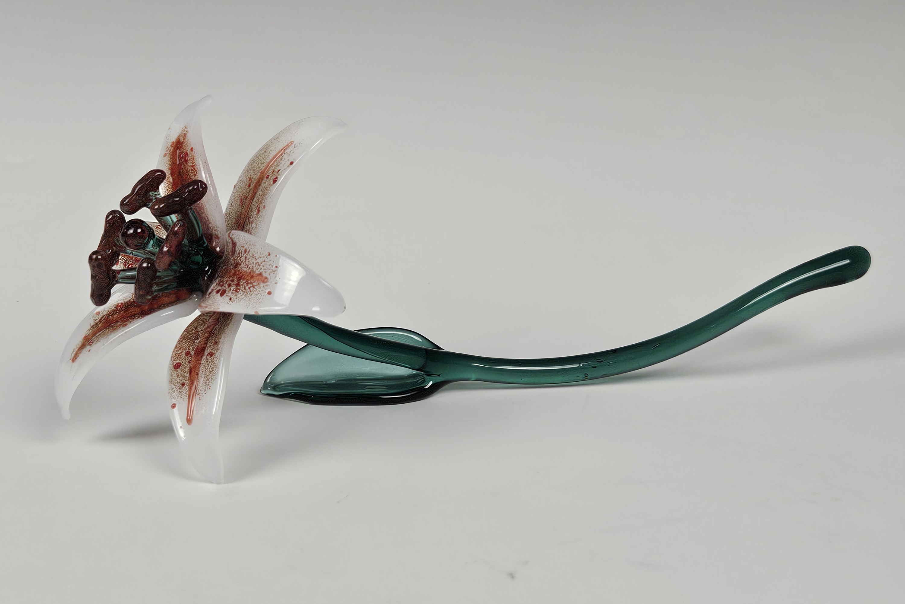 Stargazer Lily 4