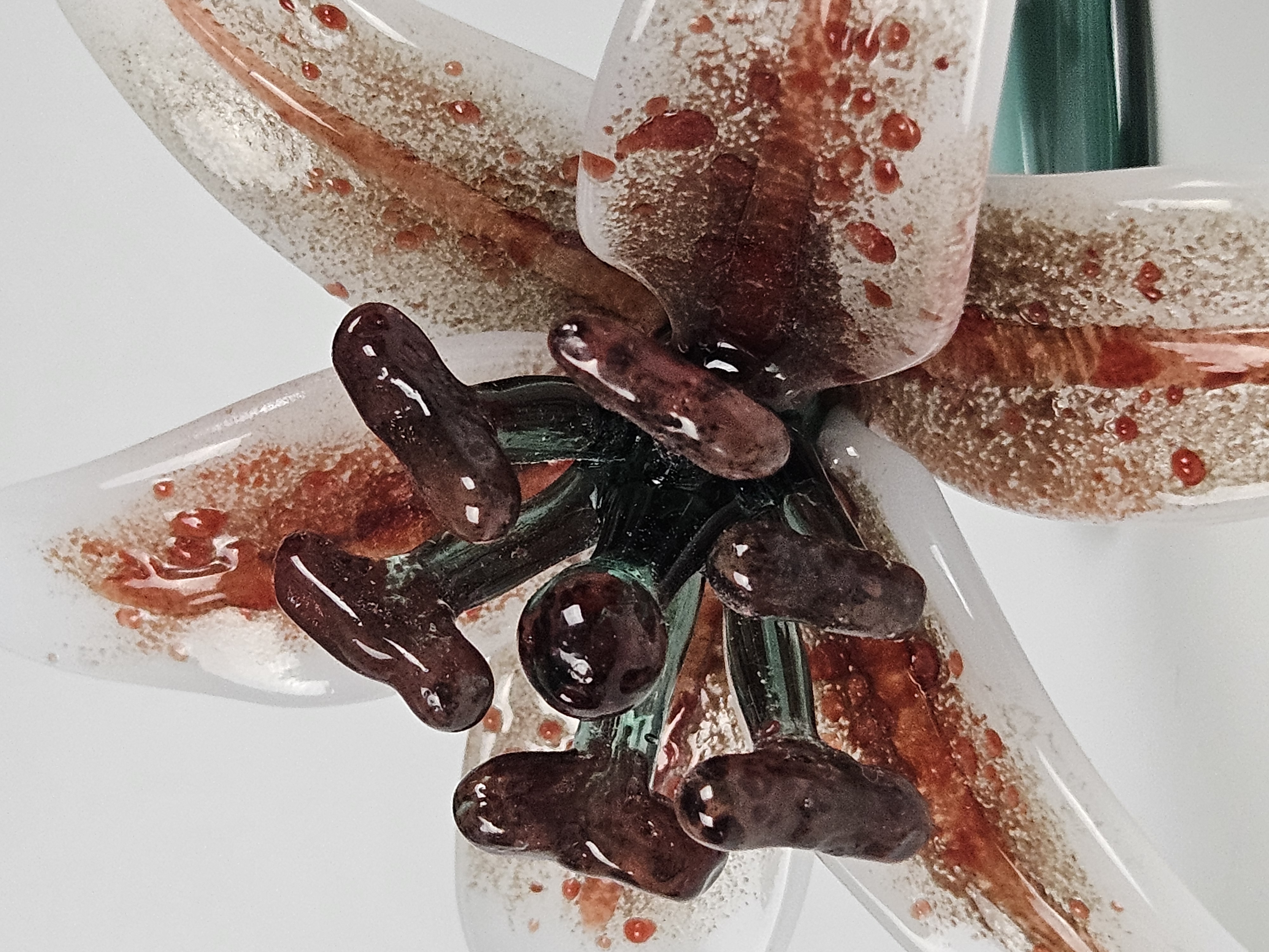 Stargazer Lily 6